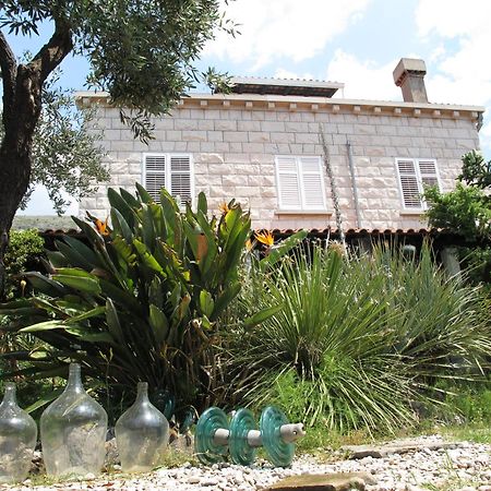 Guest House Maria Bilicic Dubrovnik Exterior foto